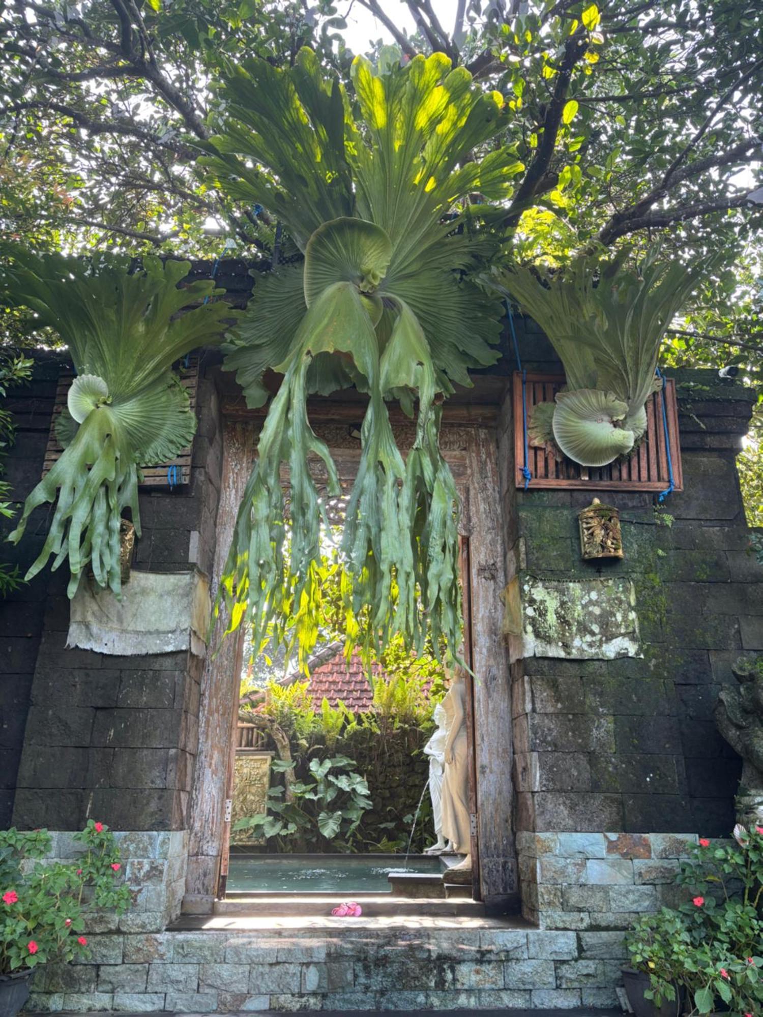 Bumbung Sari Villa Ubud Eksteriør billede