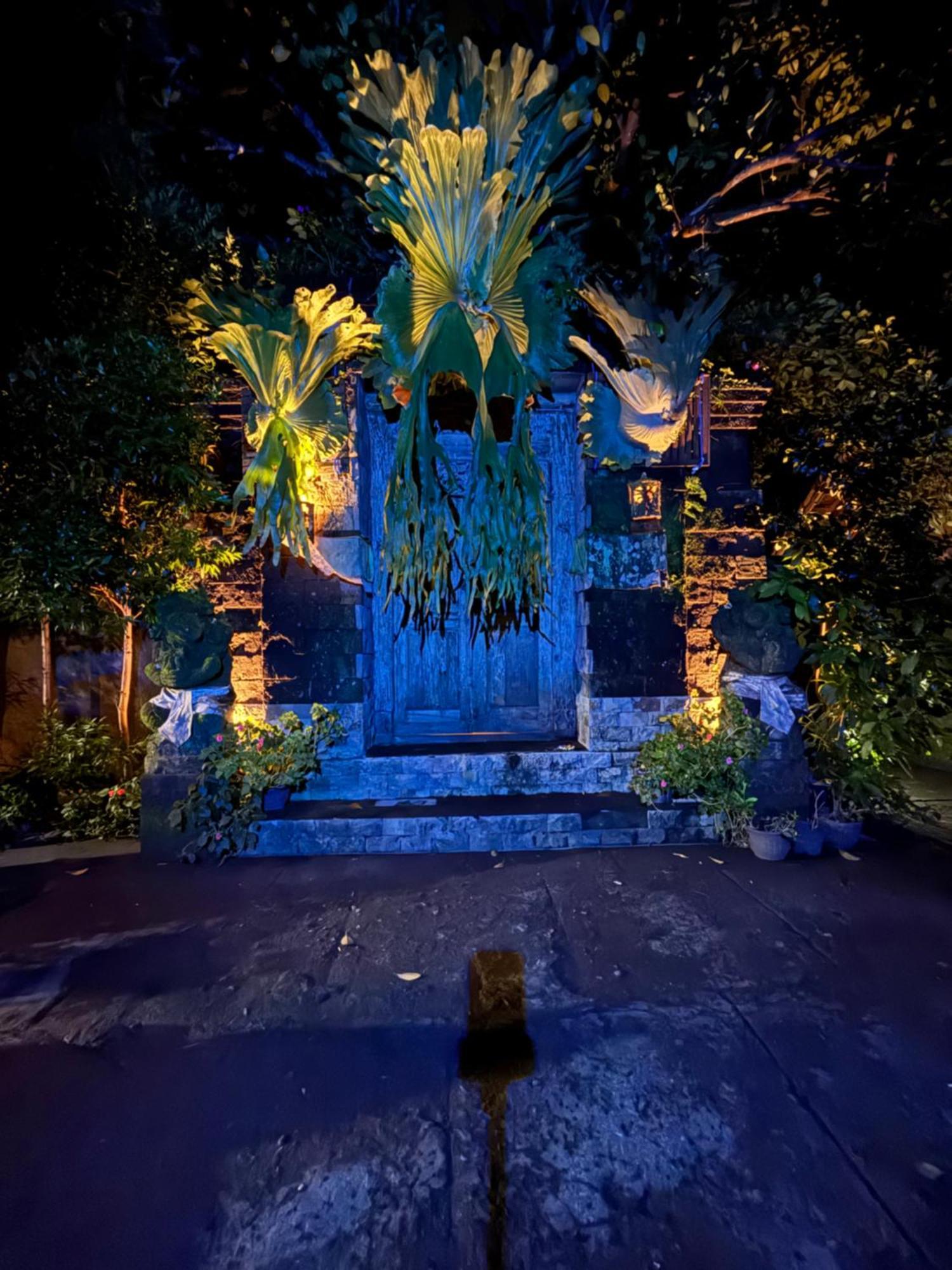 Bumbung Sari Villa Ubud Eksteriør billede