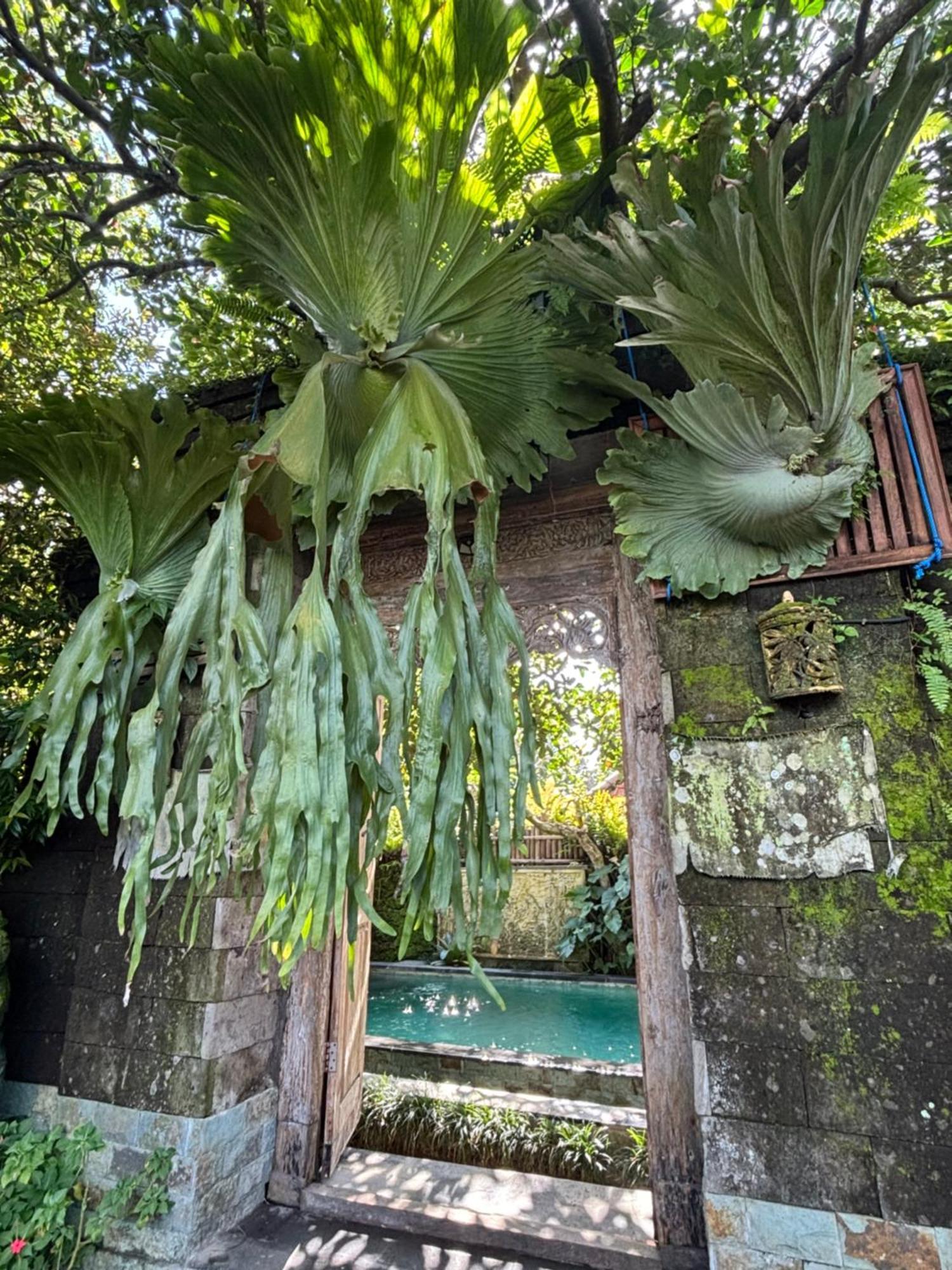 Bumbung Sari Villa Ubud Eksteriør billede