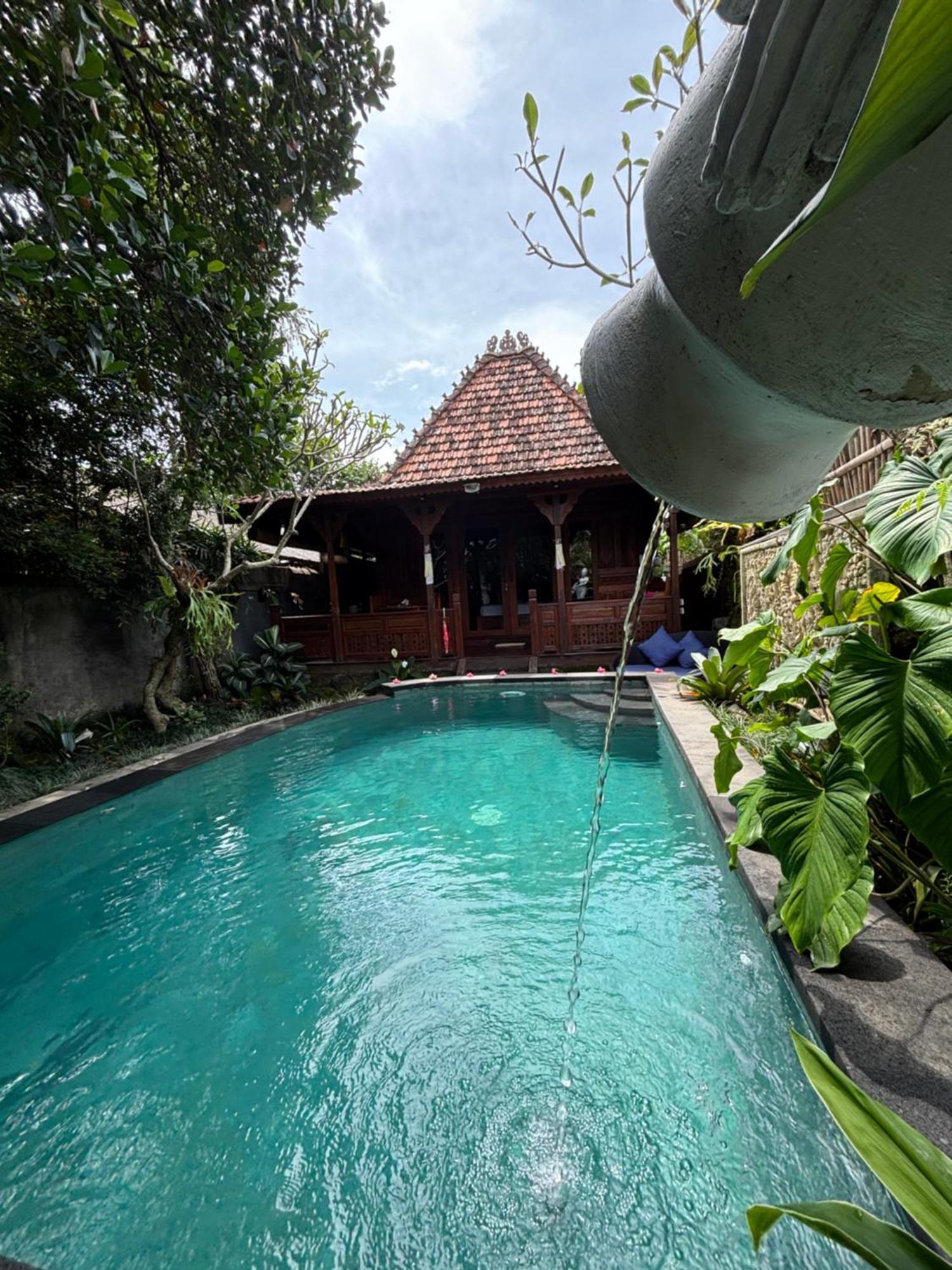 Bumbung Sari Villa Ubud Eksteriør billede